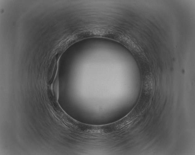 X0000082730639200702091838