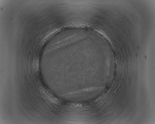 X0000082730640200702091838