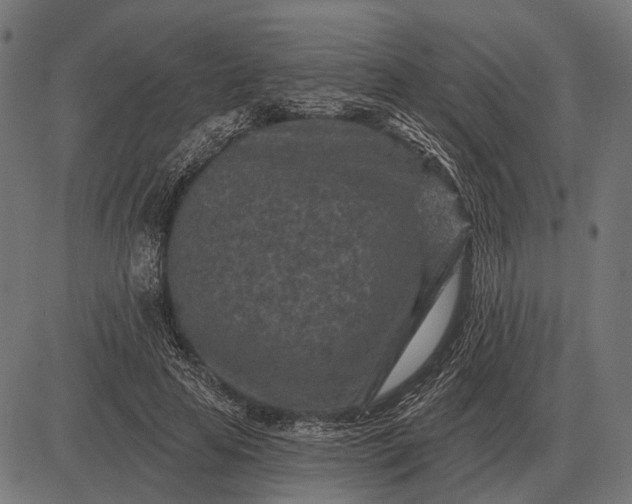 X0000082730641200702091838