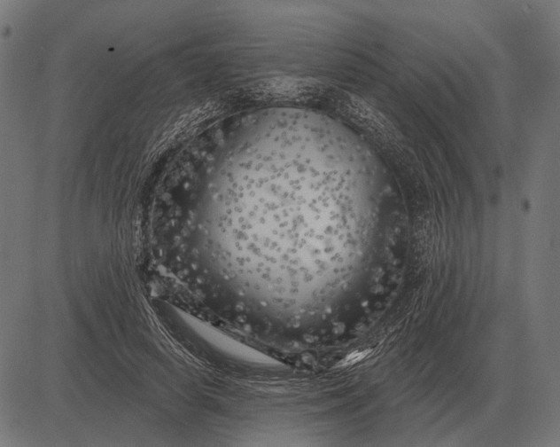 X0000082730642200702091839