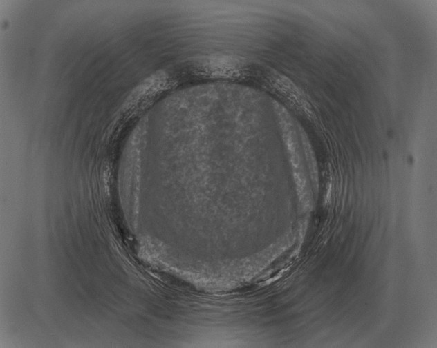 X0000082730643200702091839