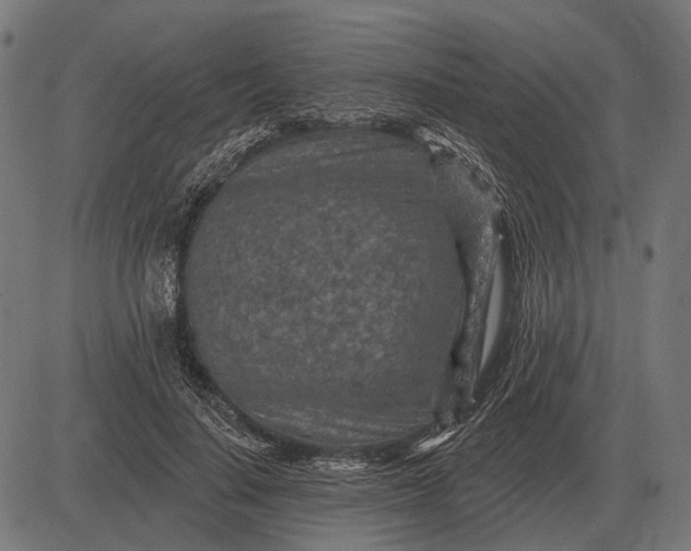 X0000082730644200702091839