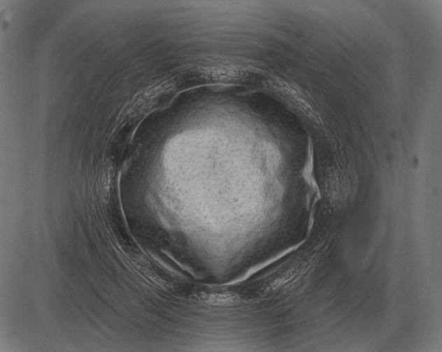 X0000082730645200702091839