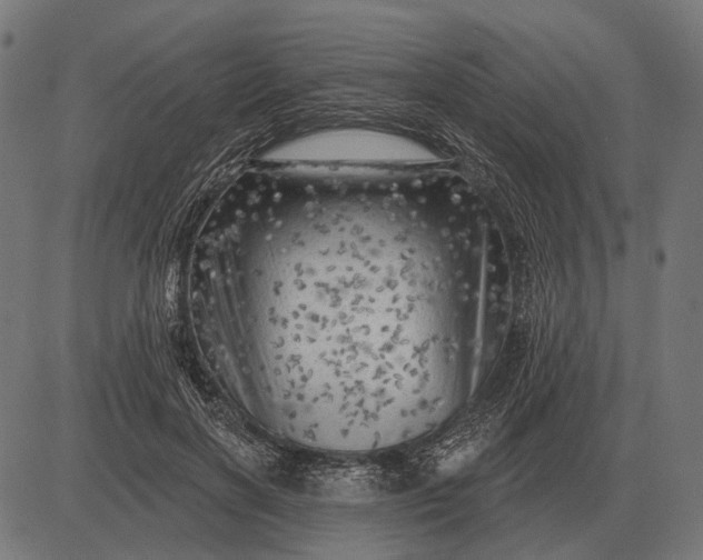 X0000082730646200702091839