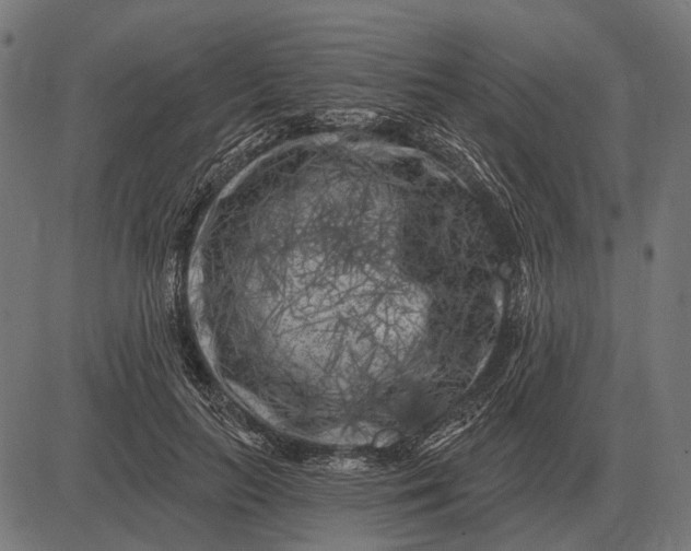 X0000082730647200702091839