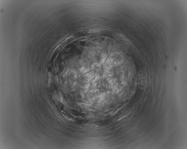 X0000082730648200702091839