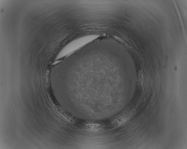 X0000082730650200702091839