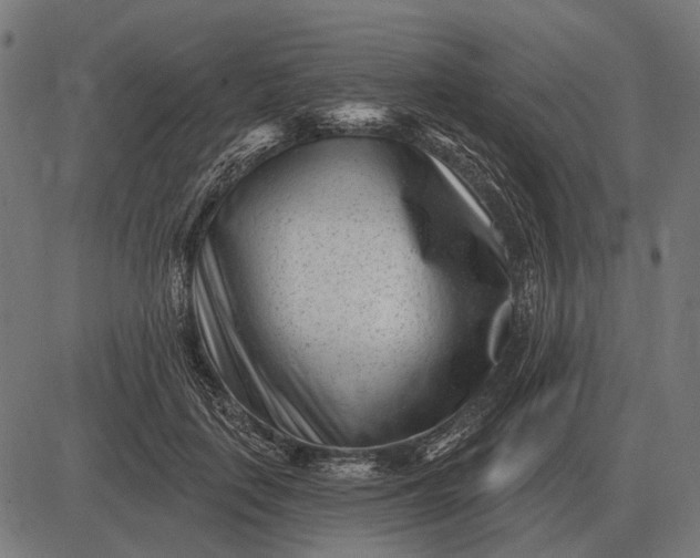 X0000082730651200702091839