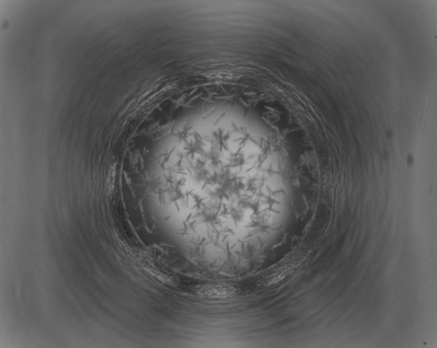 X0000082730652200702091839