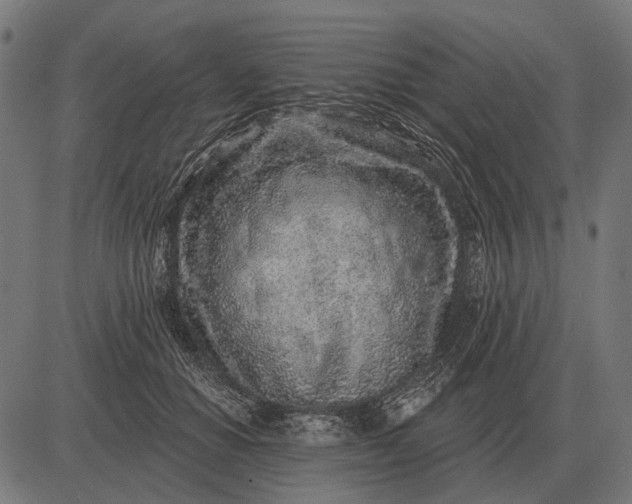 X0000082730654200702091839