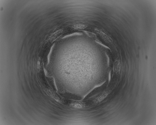 X0000082730655200702091839