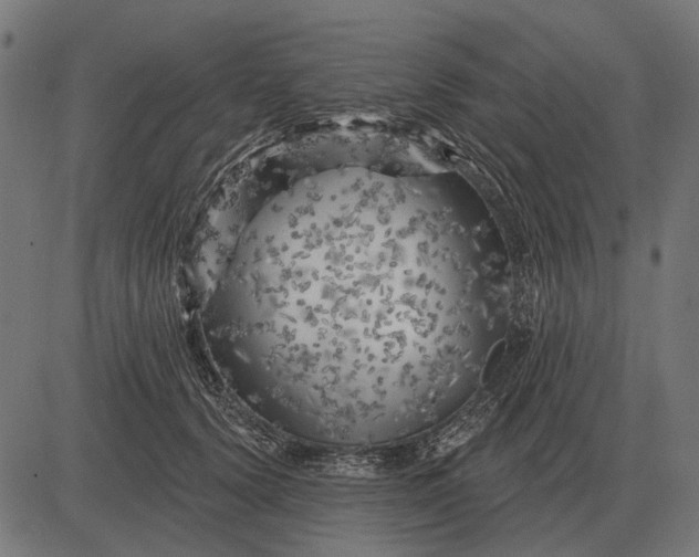 X0000082730656200702091839