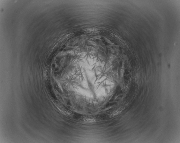 X0000082730658200702091839