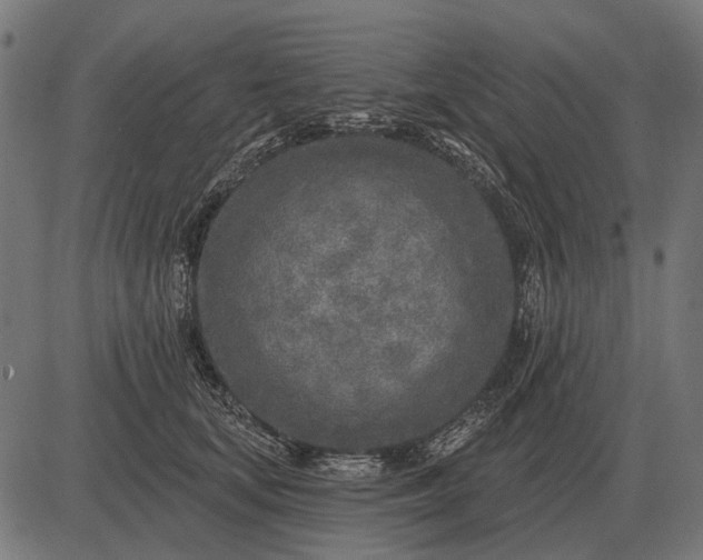 X0000082730659200702091839