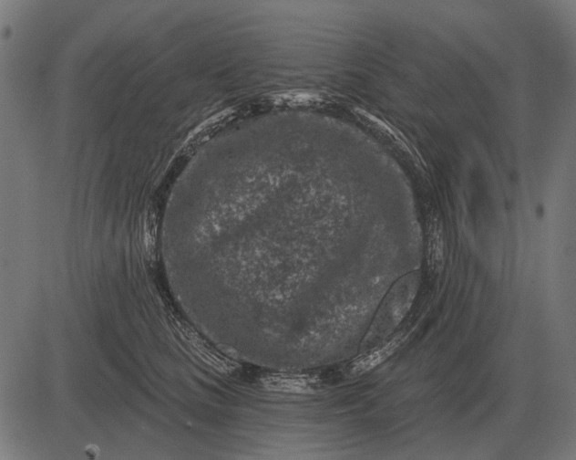 X0000082730661200702091839