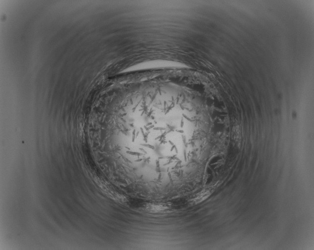 X0000082730662200702091839