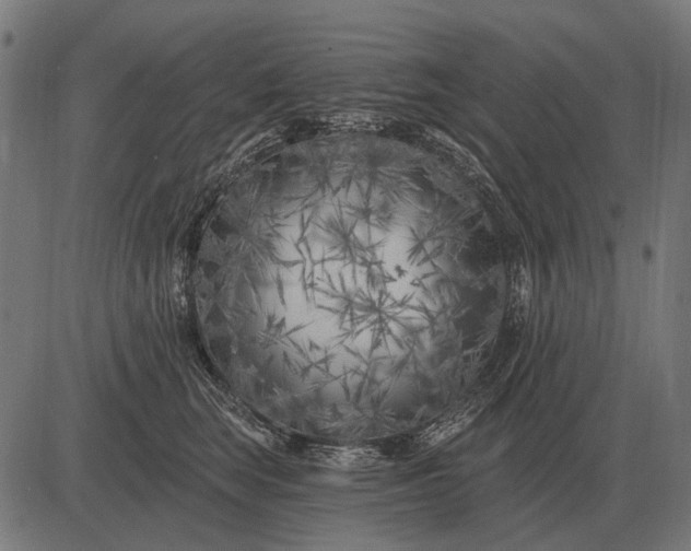 X0000082730663200702091839