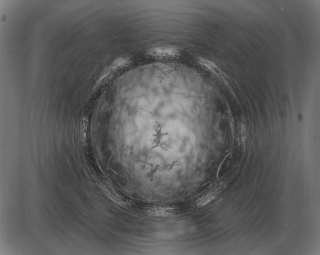 X0000082730664200702091839