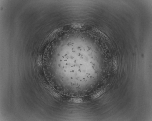 X0000082730665200702091839