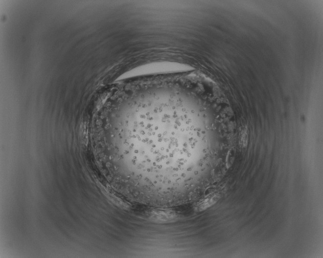 X0000082730666200702091839