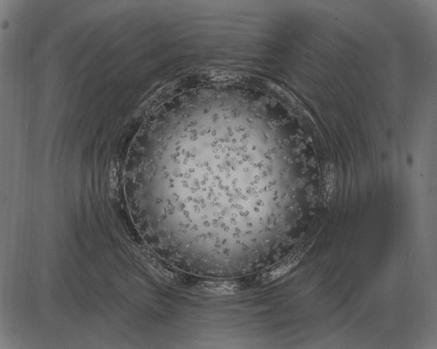 X0000082730667200702091839