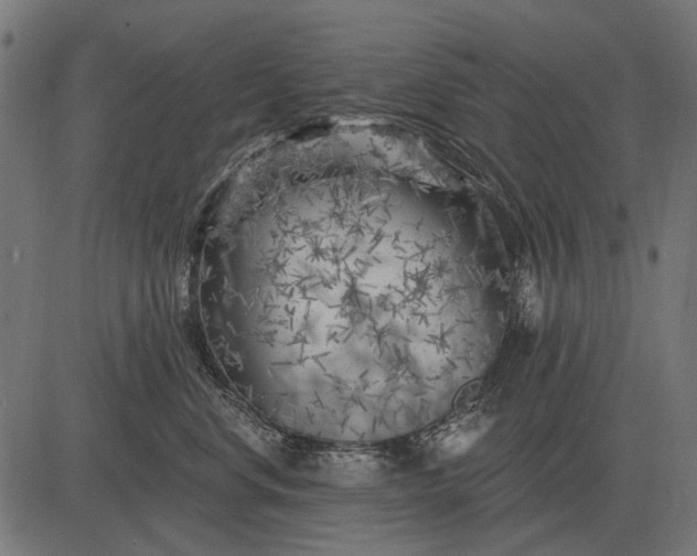 X0000082730668200702091839