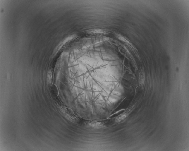 X0000082730669200702091839