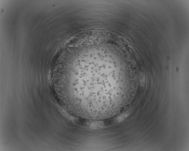 X0000082730670200702091839