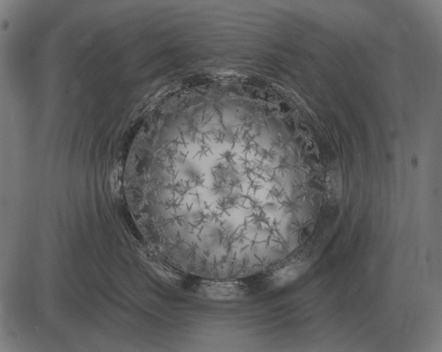 X0000082730671200702091839