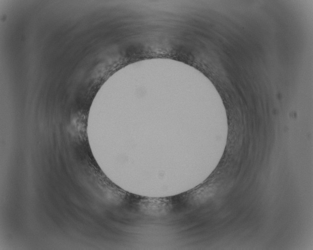 X0000082730672200702091839