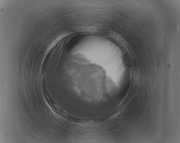 X0000082730674200702091838