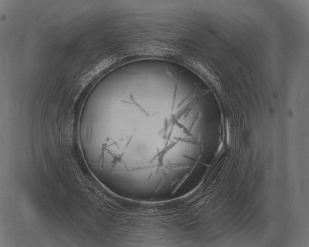 X0000082730675200702091838