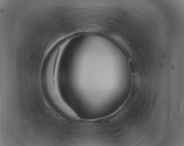 X0000082730676200702091838