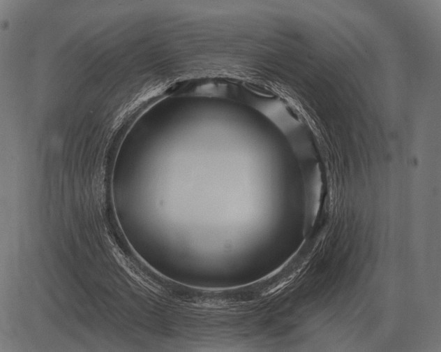 X0000082730677200702091838