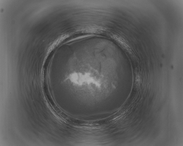 X0000082730678200702091838