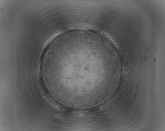 X0000082730679200702091838