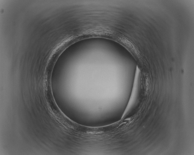 X0000082730680200702091838