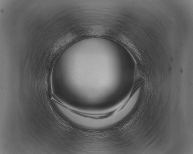 X0000082730681200702091838