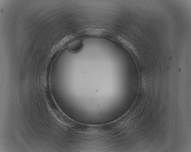 X0000082730682200702091838