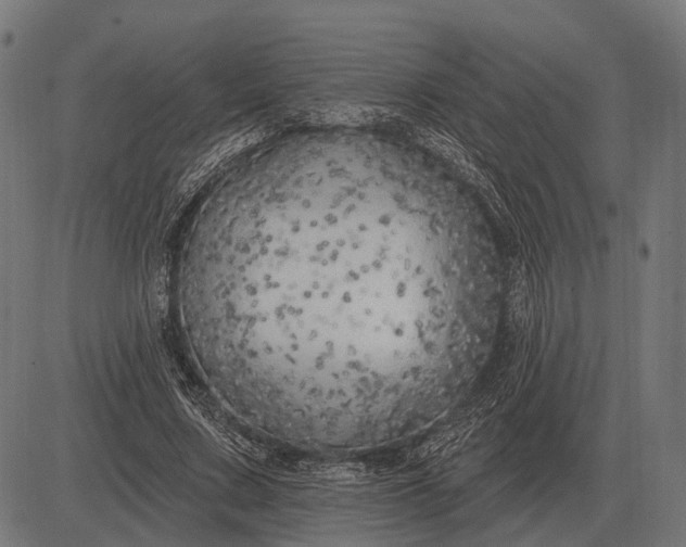 X0000082730683200702091838