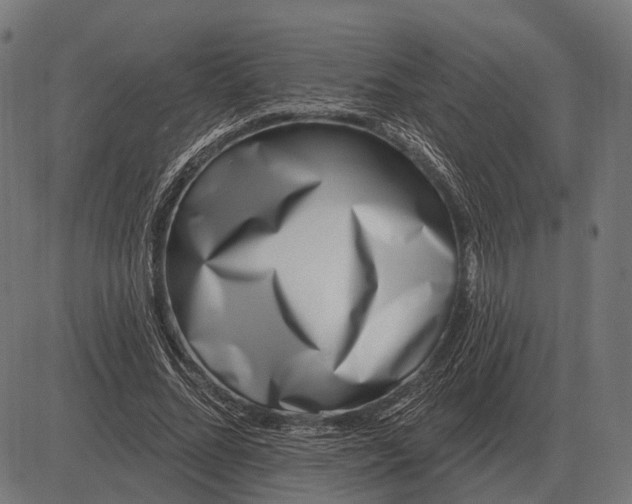 X0000082730684200702091838