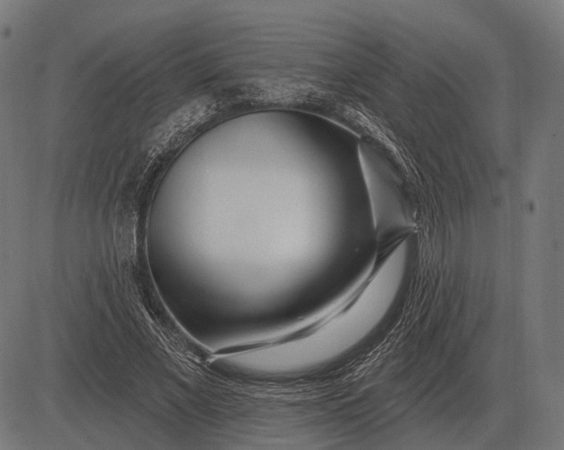 X0000082730685200702091838