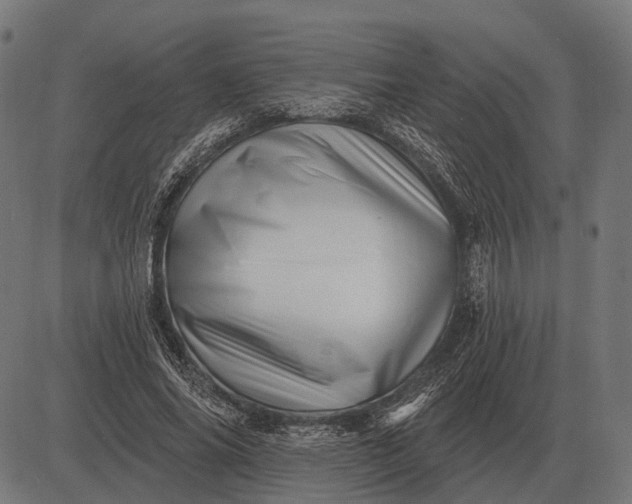 X0000082730686200702091838