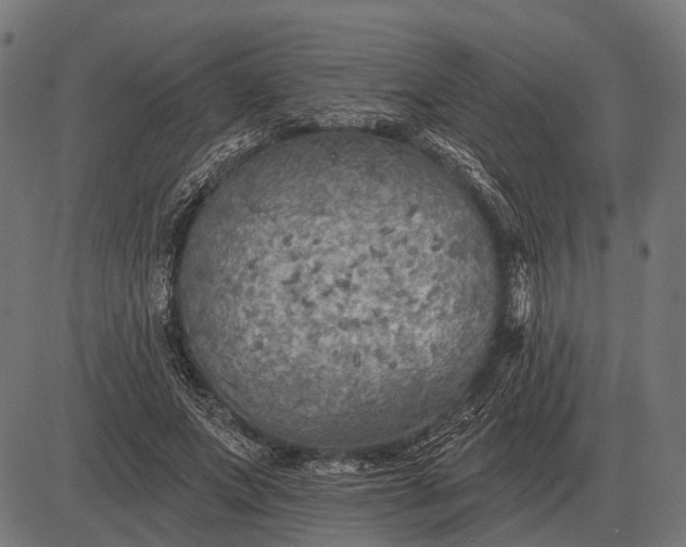 X0000082730687200702091838