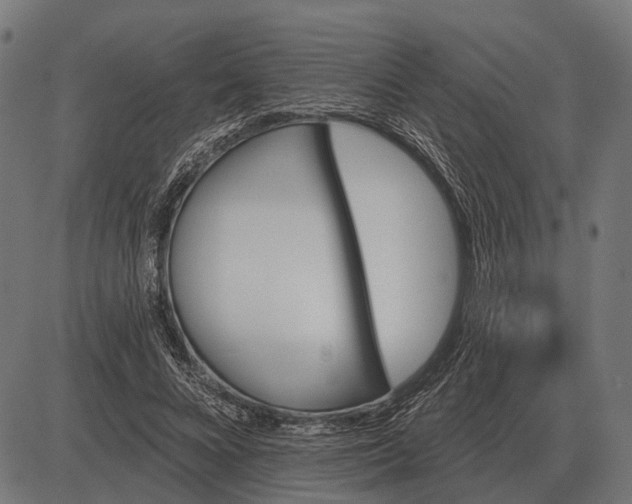 X0000082730688200702091838