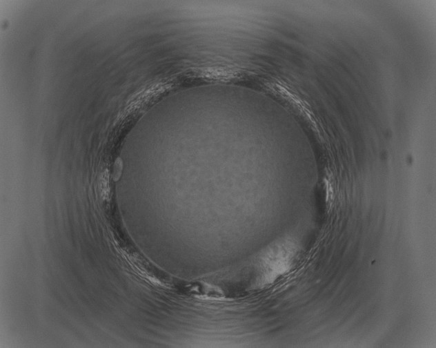 X0000082730689200702091838