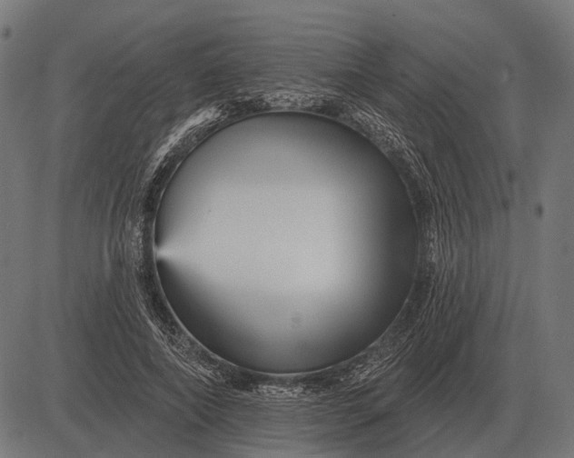 X0000082730690200702091838