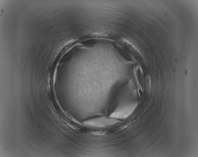 X0000082730692200702091838