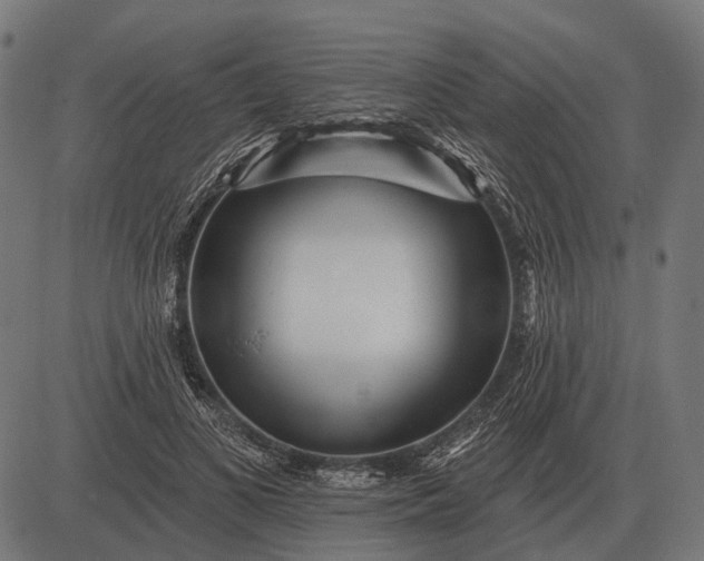 X0000082730693200702091838