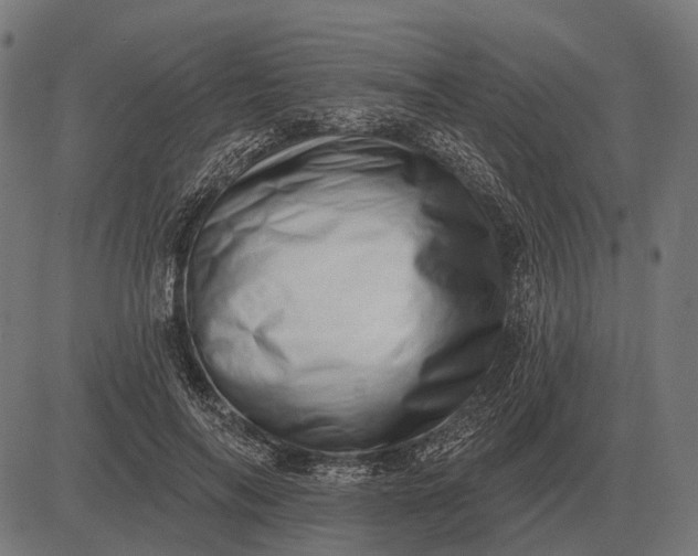 X0000082730694200702091838